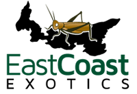 East Coast Exotics