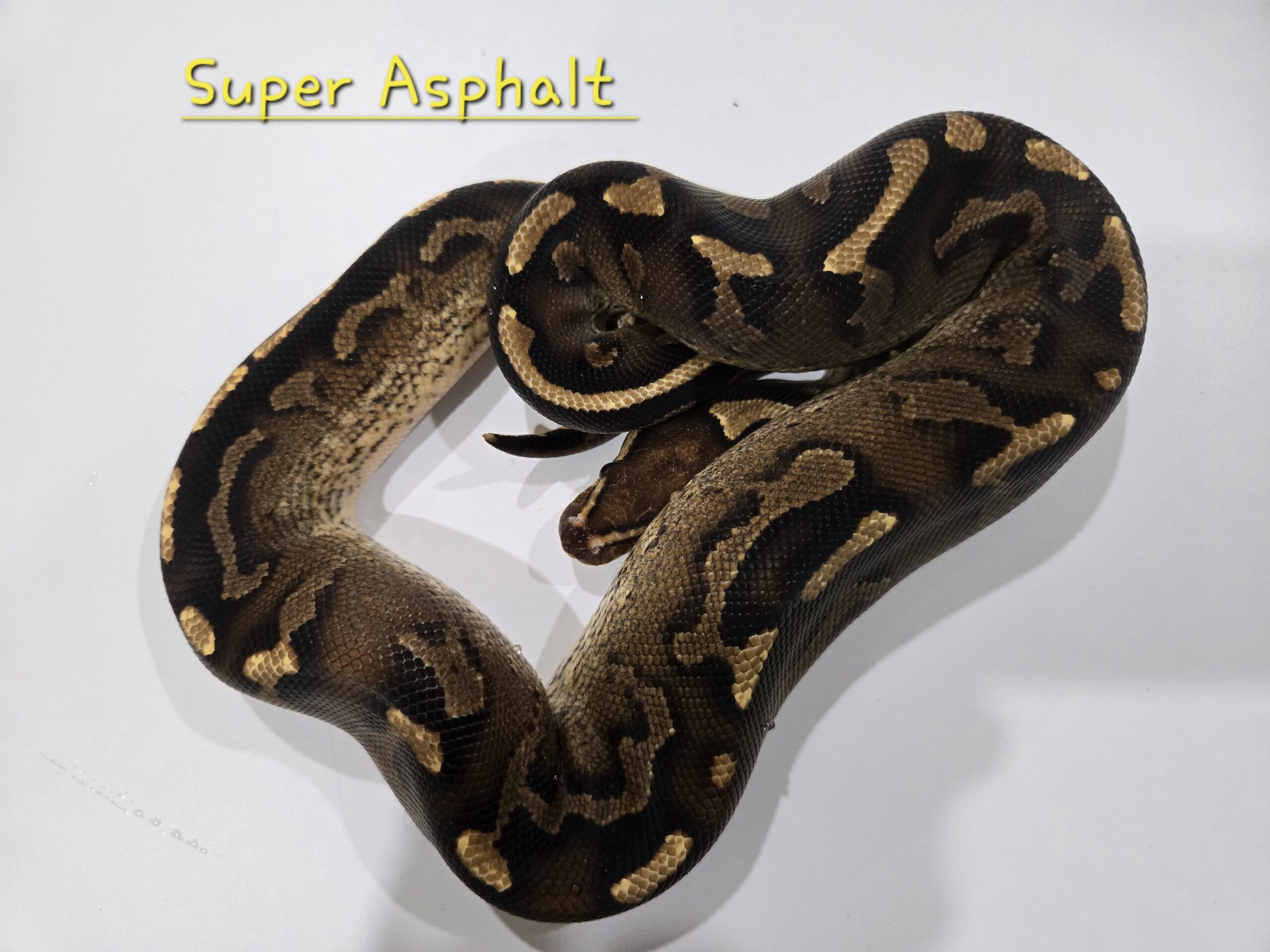 Super Asphalt